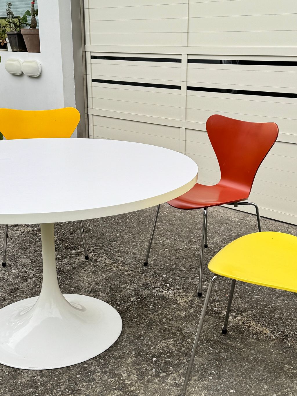 相片 2026-2-4 16 42 37