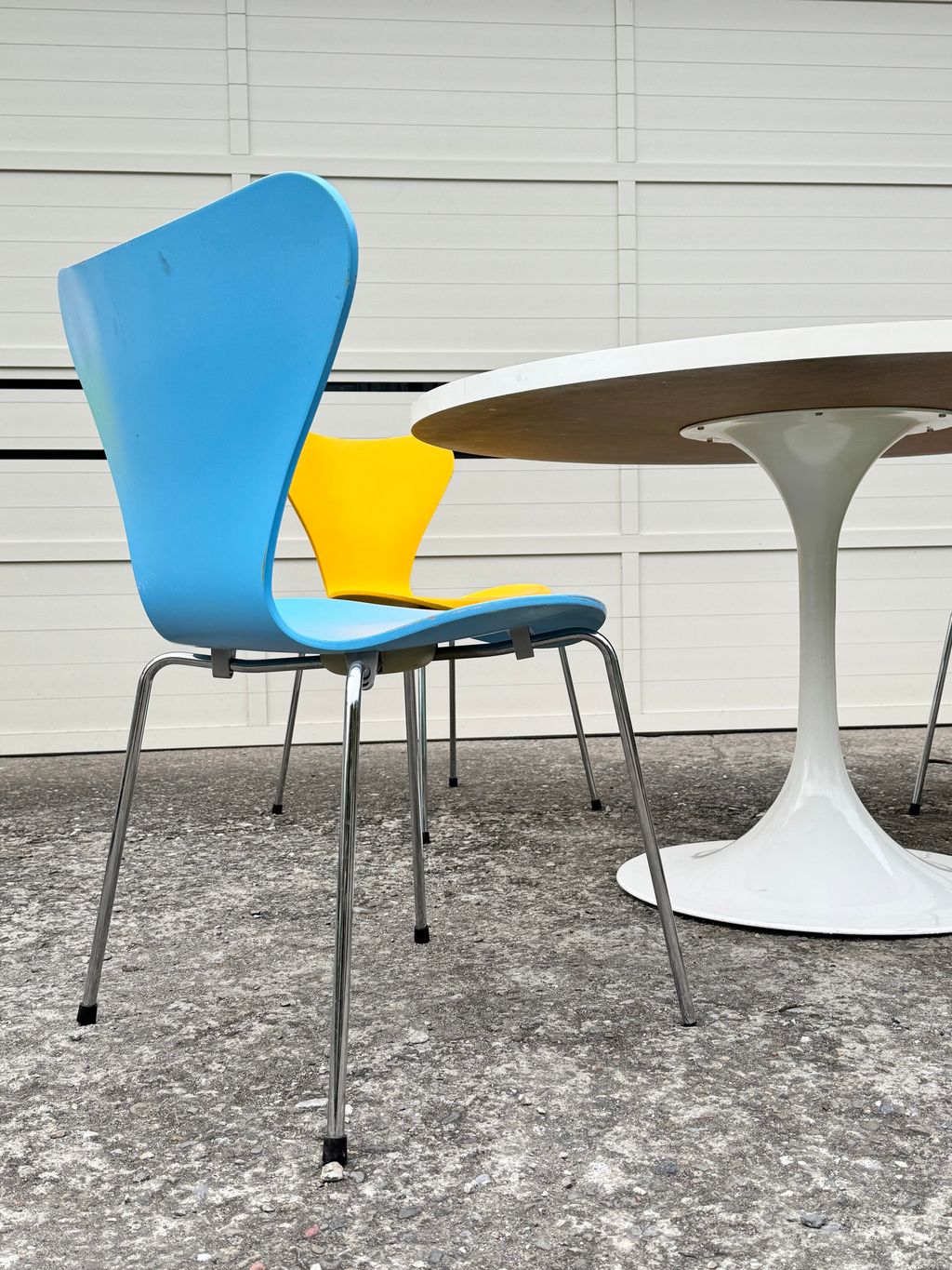 相片 2026-2-4 16 44 35