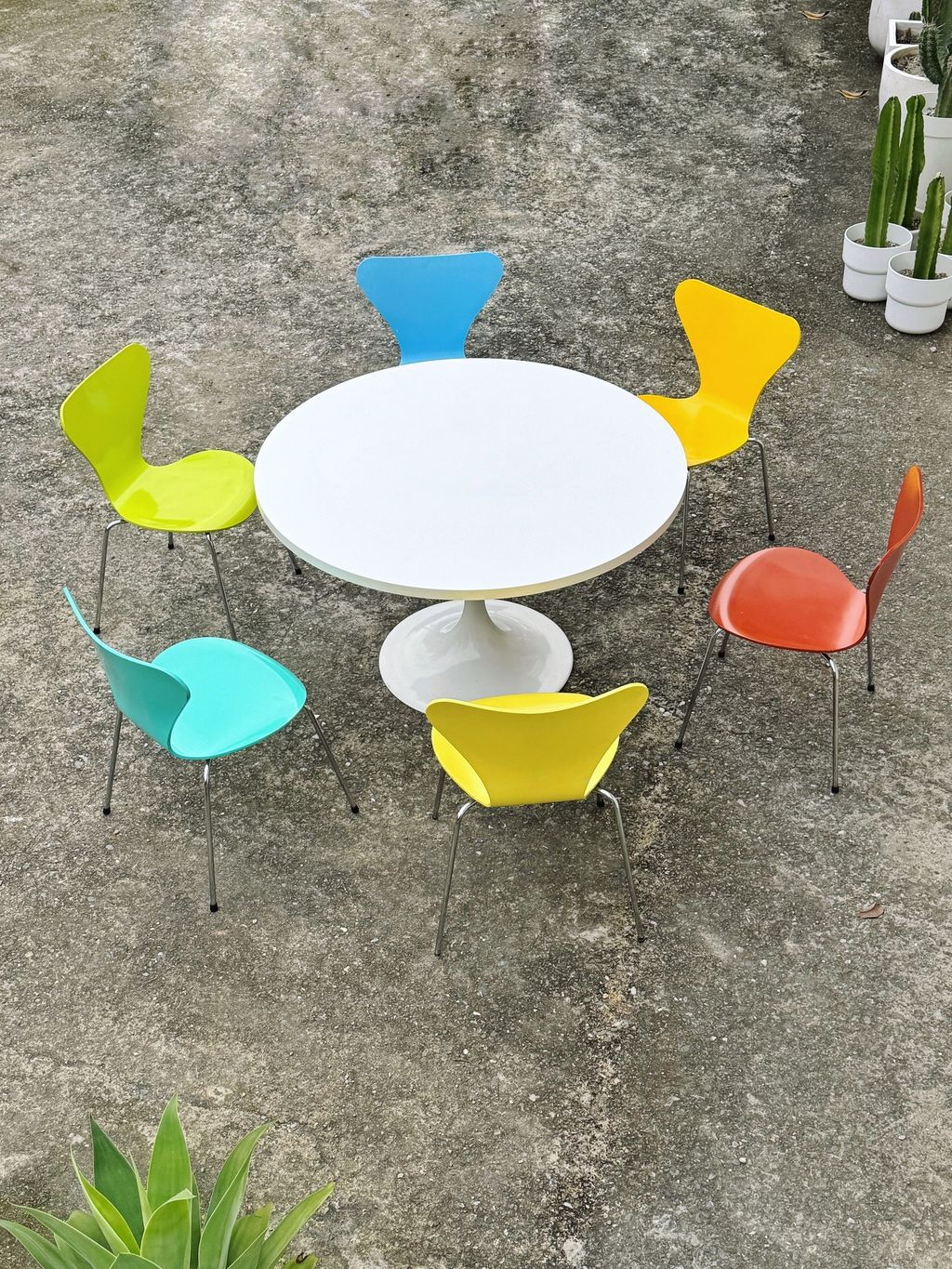 相片 2026-2-4 16 41 26