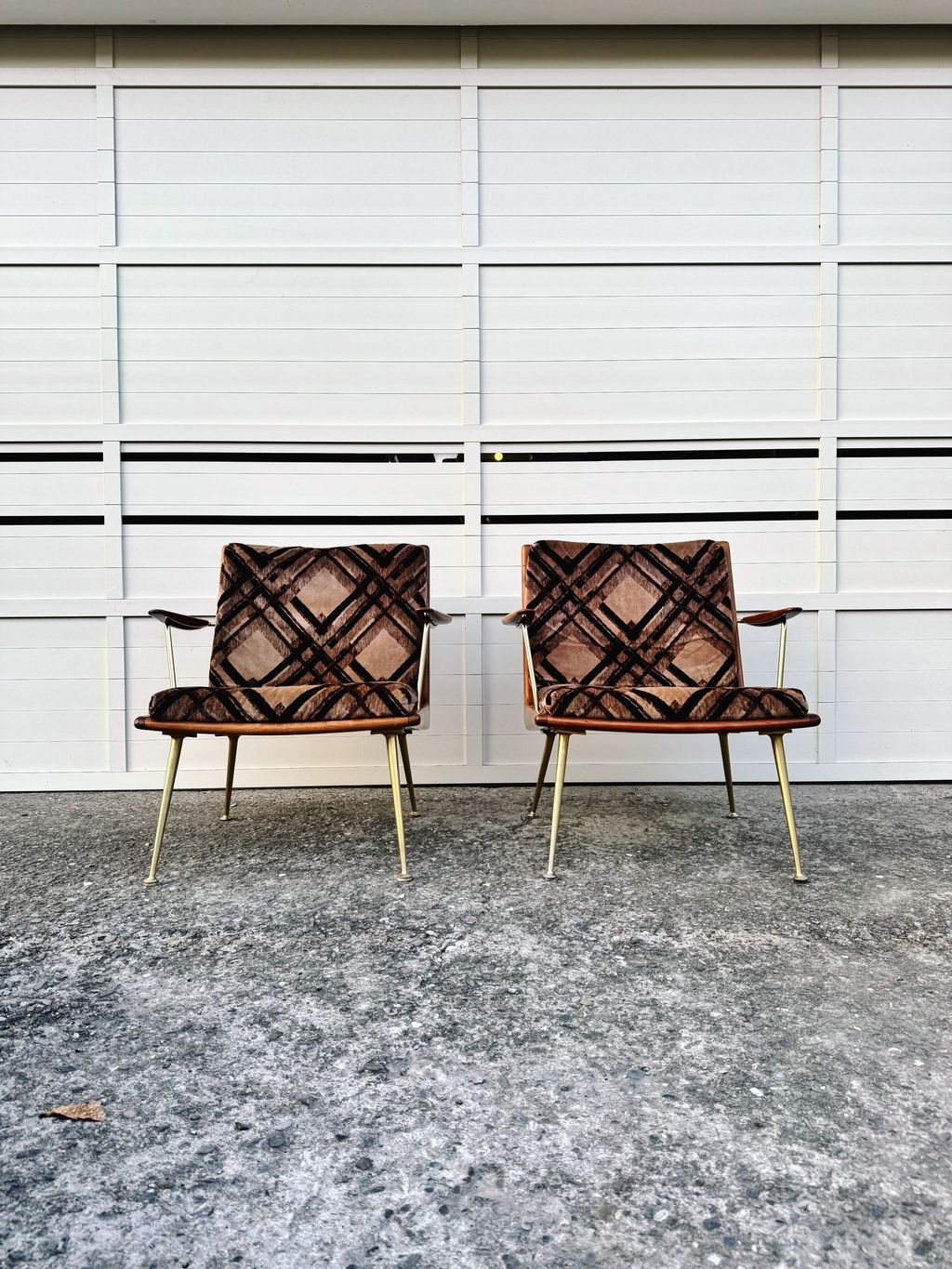 相片 2026-2-13 16 59 03