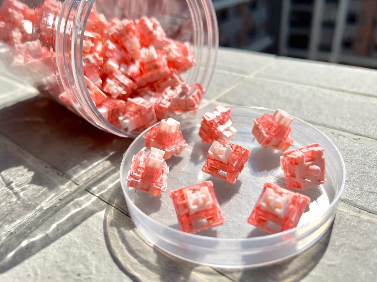 [Instock] Strawberry Jelly V2 Switches Teddo