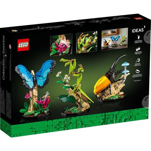 LEGO21342 (4)