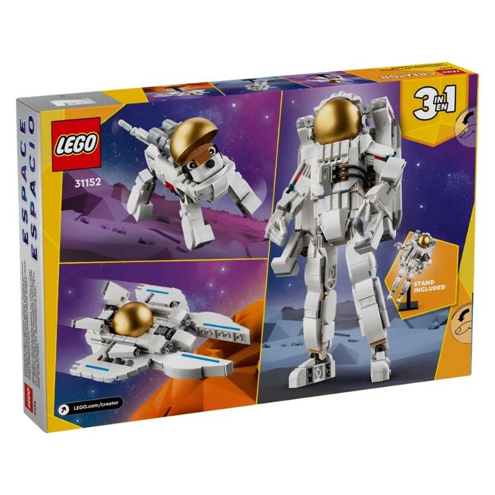 31152 (1)