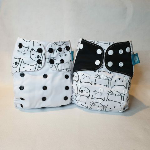 20210917_191532-scaled