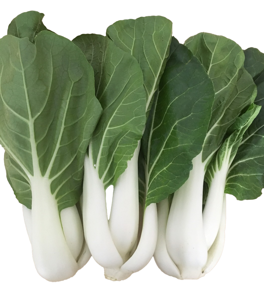 宜秀(去背).png