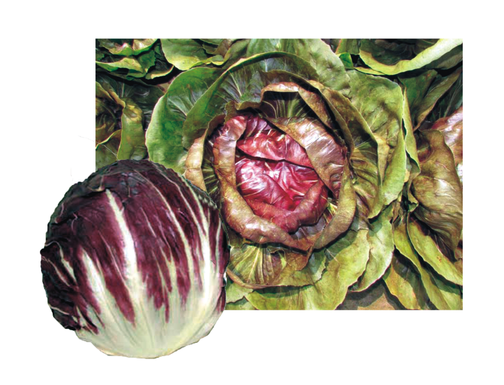 紅地球.png