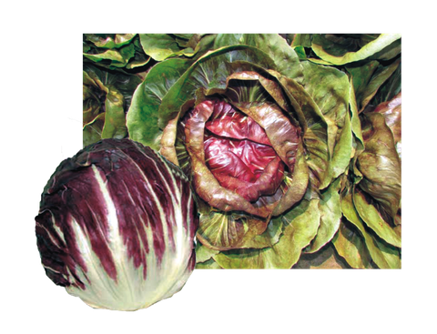 紅地球.png
