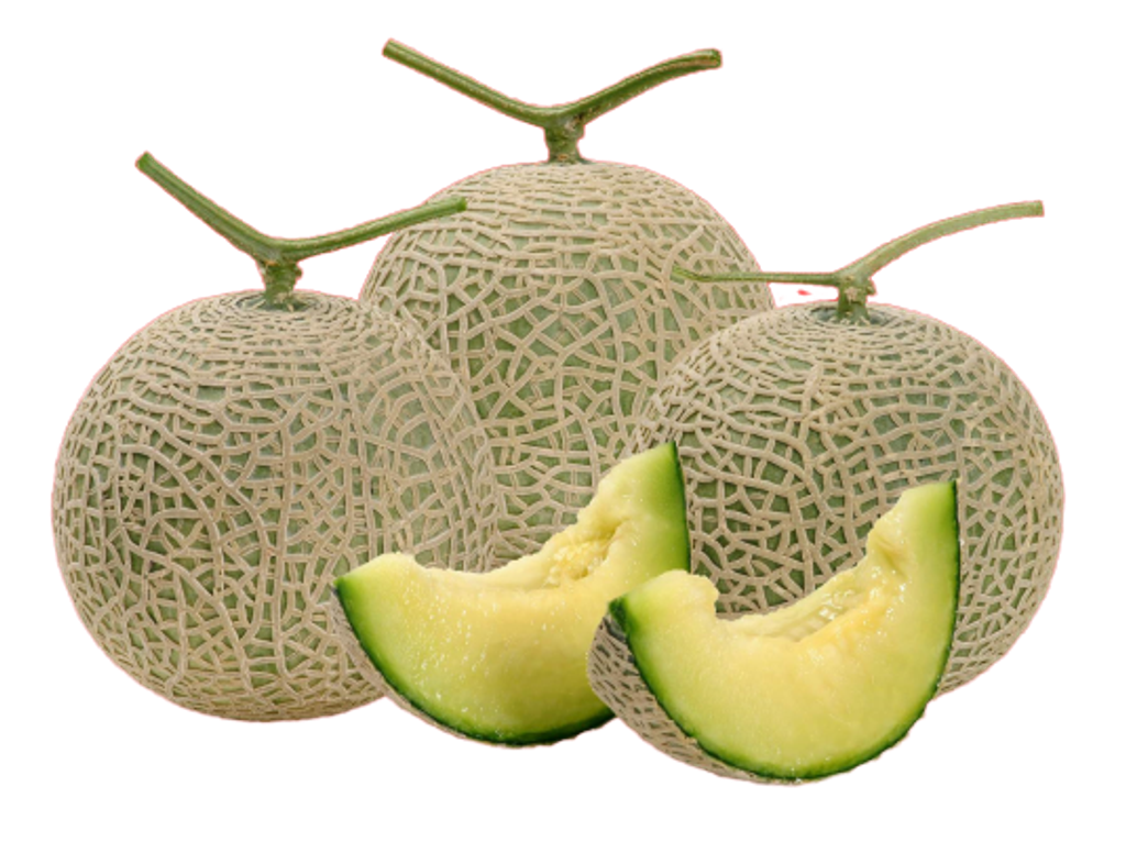 夏系2號.png