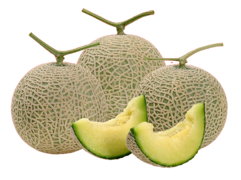 夏系2號.png