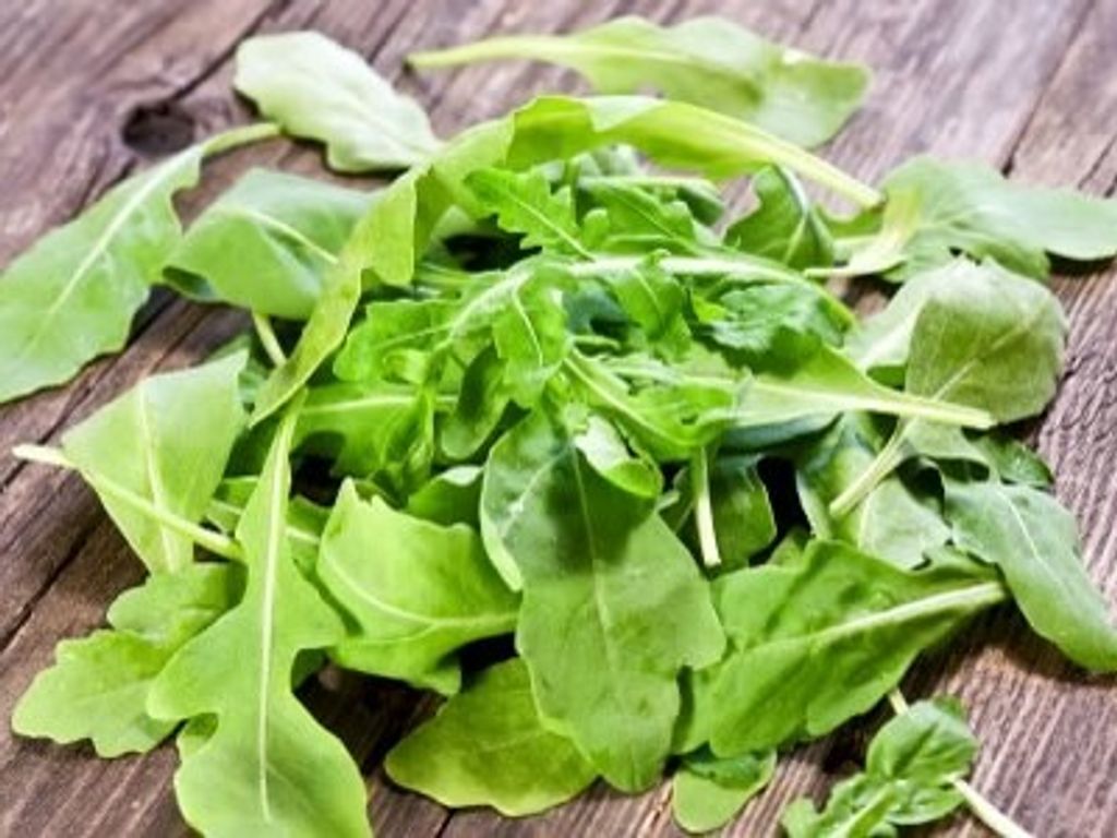 圓葉芝麻葉.jpg