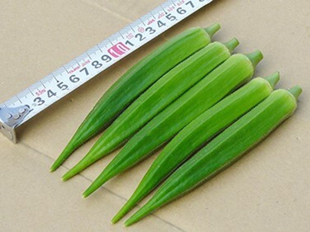 馨菱.jpg