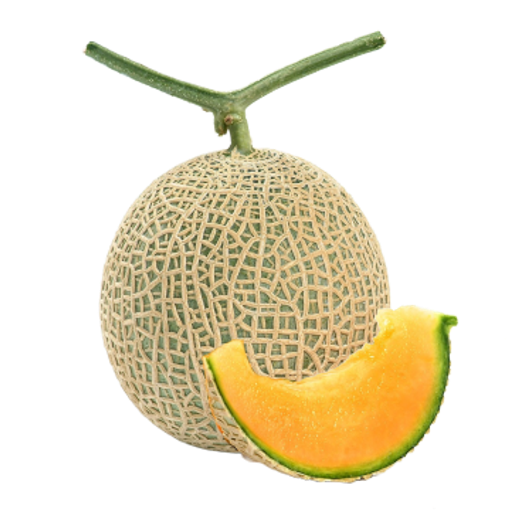 紅利2.png