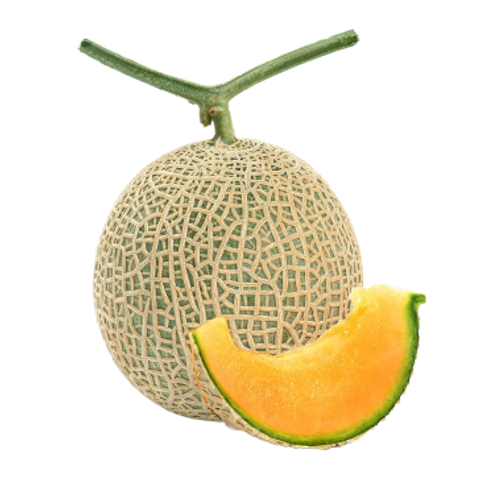 紅利2.png