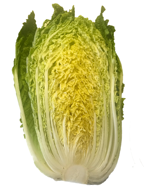 黃欣(去背).png