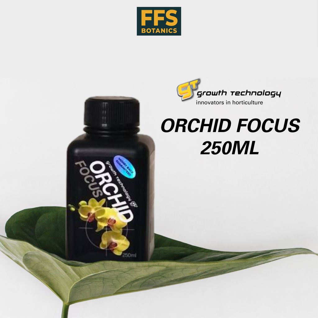 01 ORHICD BLOOM & ORCHID FOCUS-02
