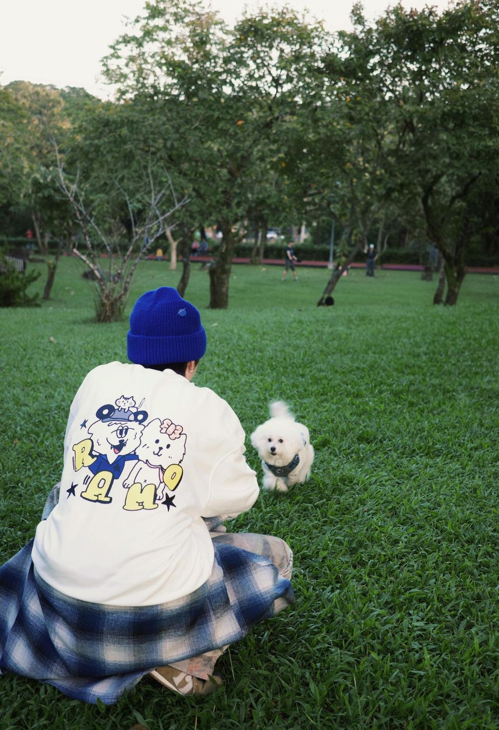 MEITU_20251118_171754690