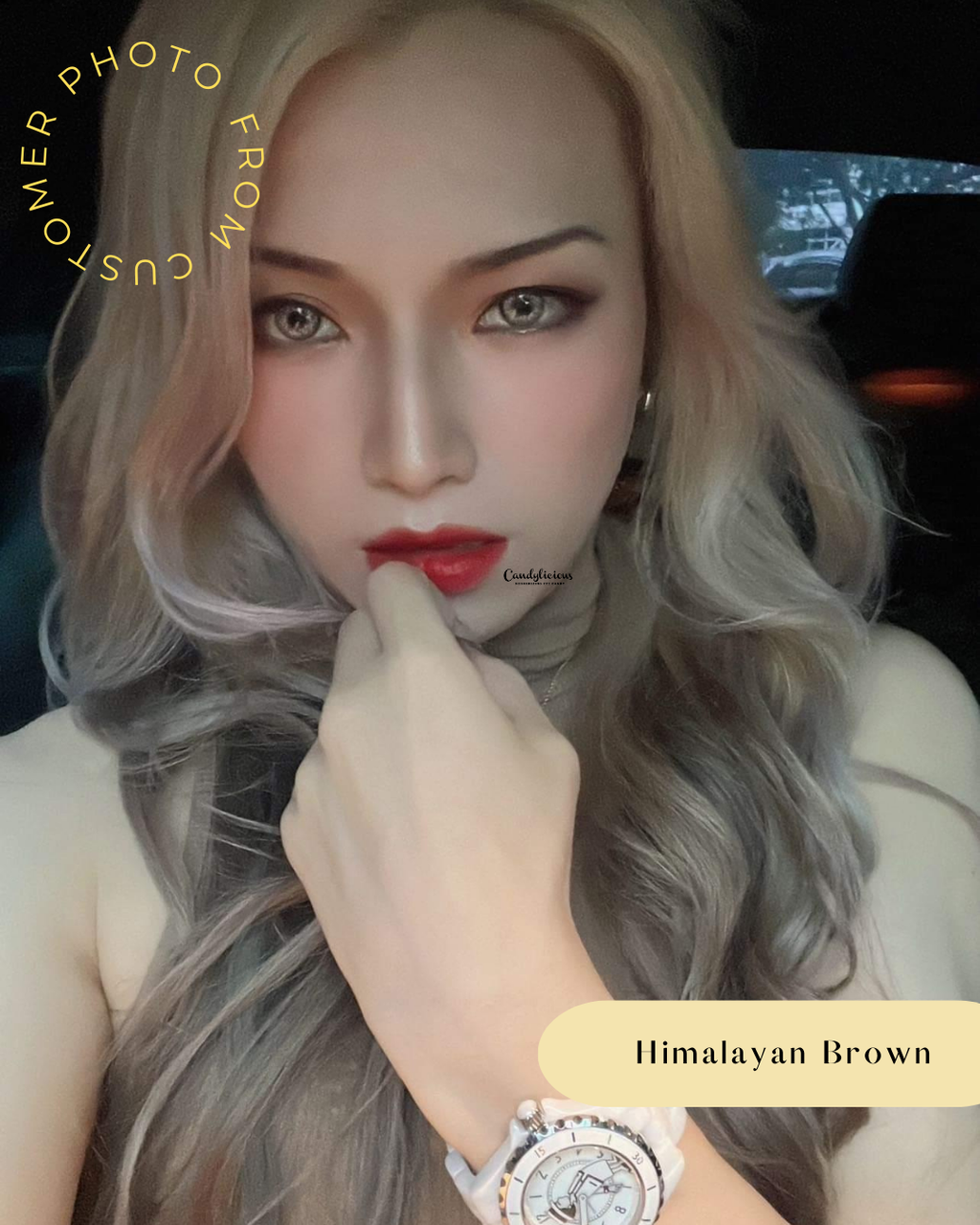 Himalayan Brown (2)