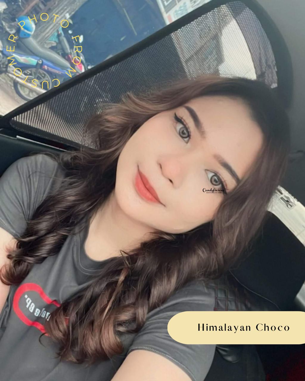Himalayan Choco (2)