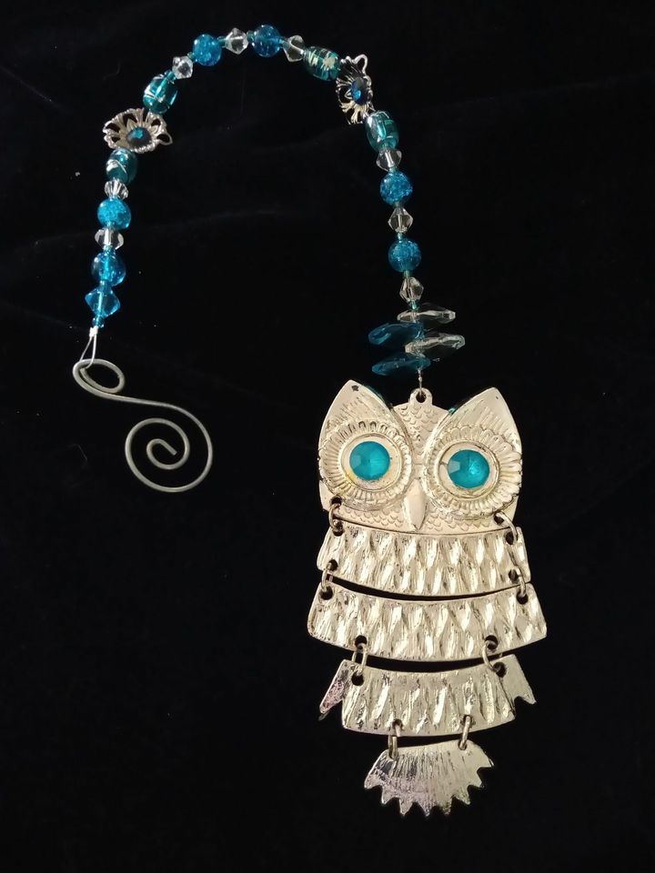 blue eyedowl.jpg