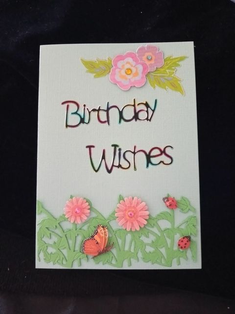 Birthday wishes floral ladybugs.jpg