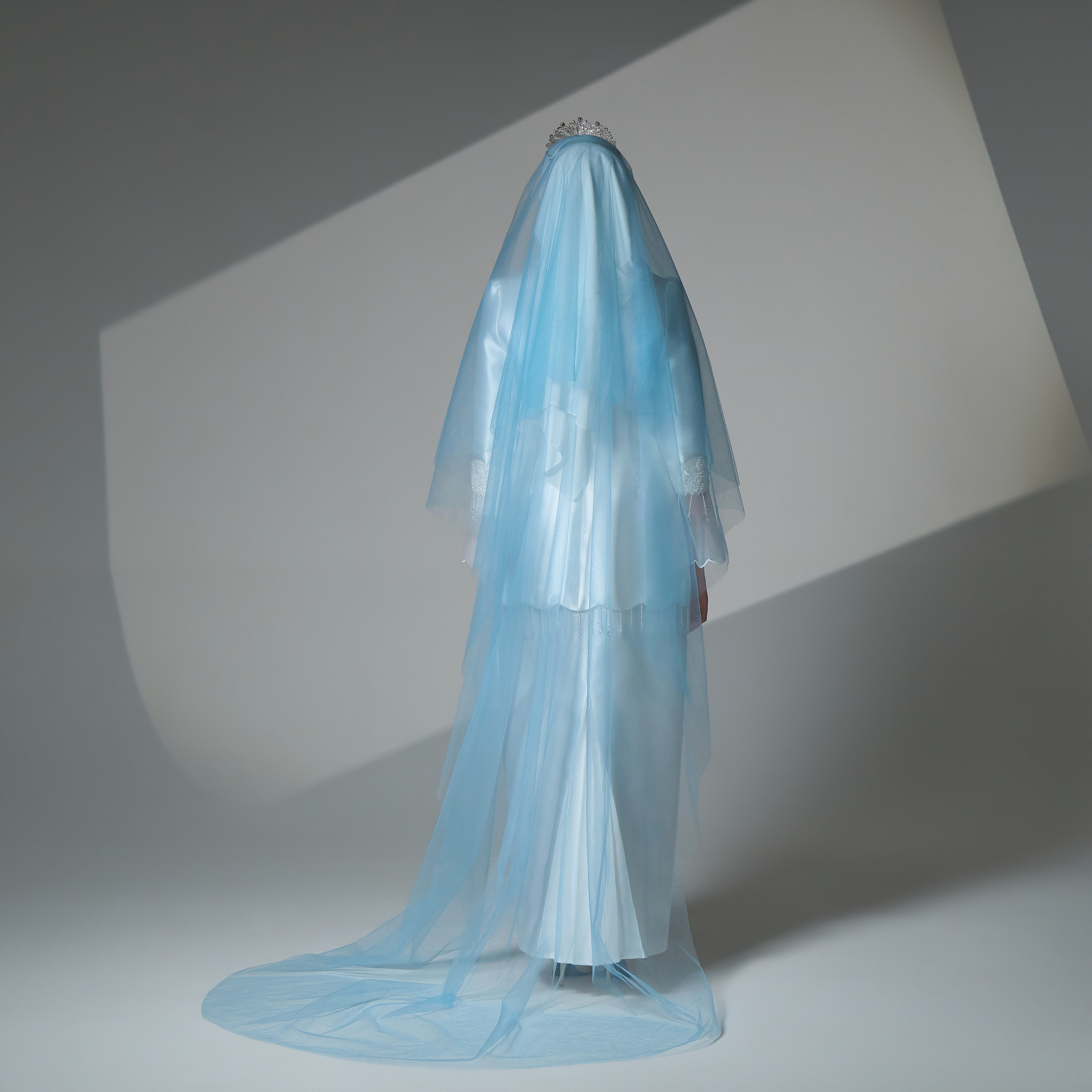 Cinderella Veil in Ash Blue