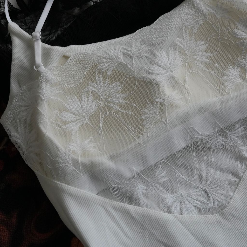 image_1C25A059-4119-4B9B-89F9-A0DE2AC54E7F_1772733905