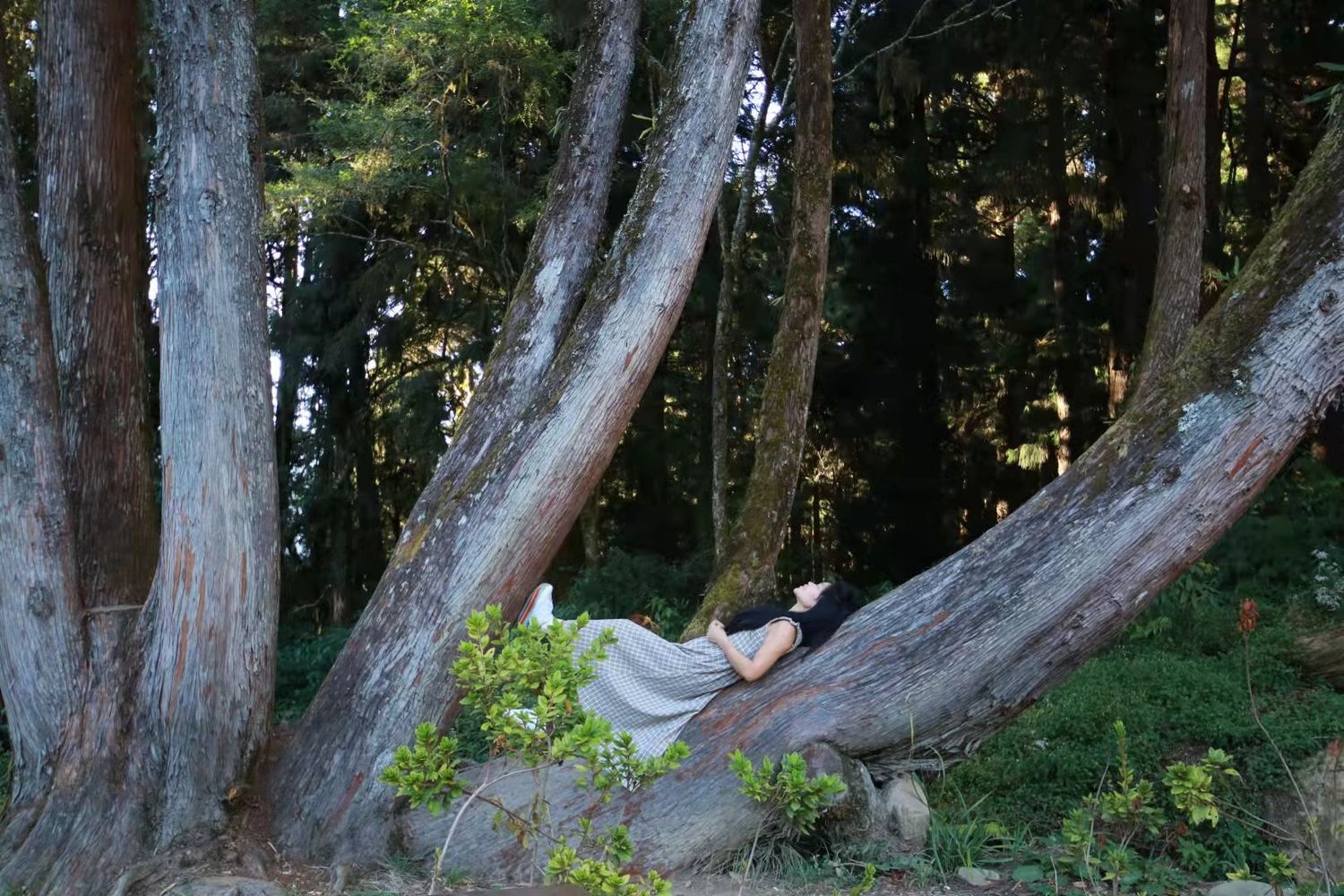 Lifestyle | 零浪費生活之旅