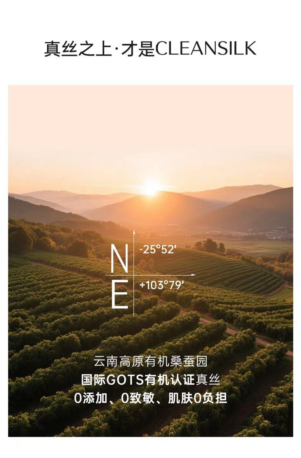 photo_2025-12-08_14-14-21