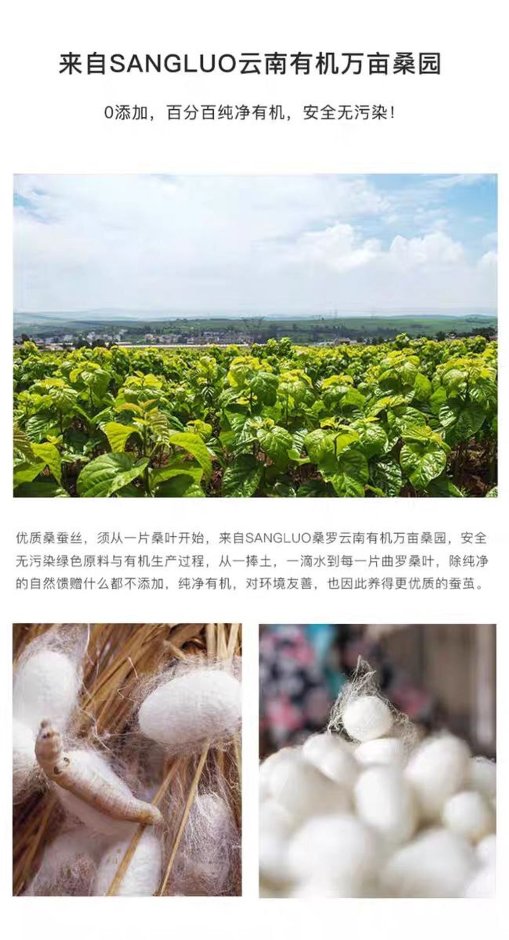 photo_24_2025-12-09_19-25-40