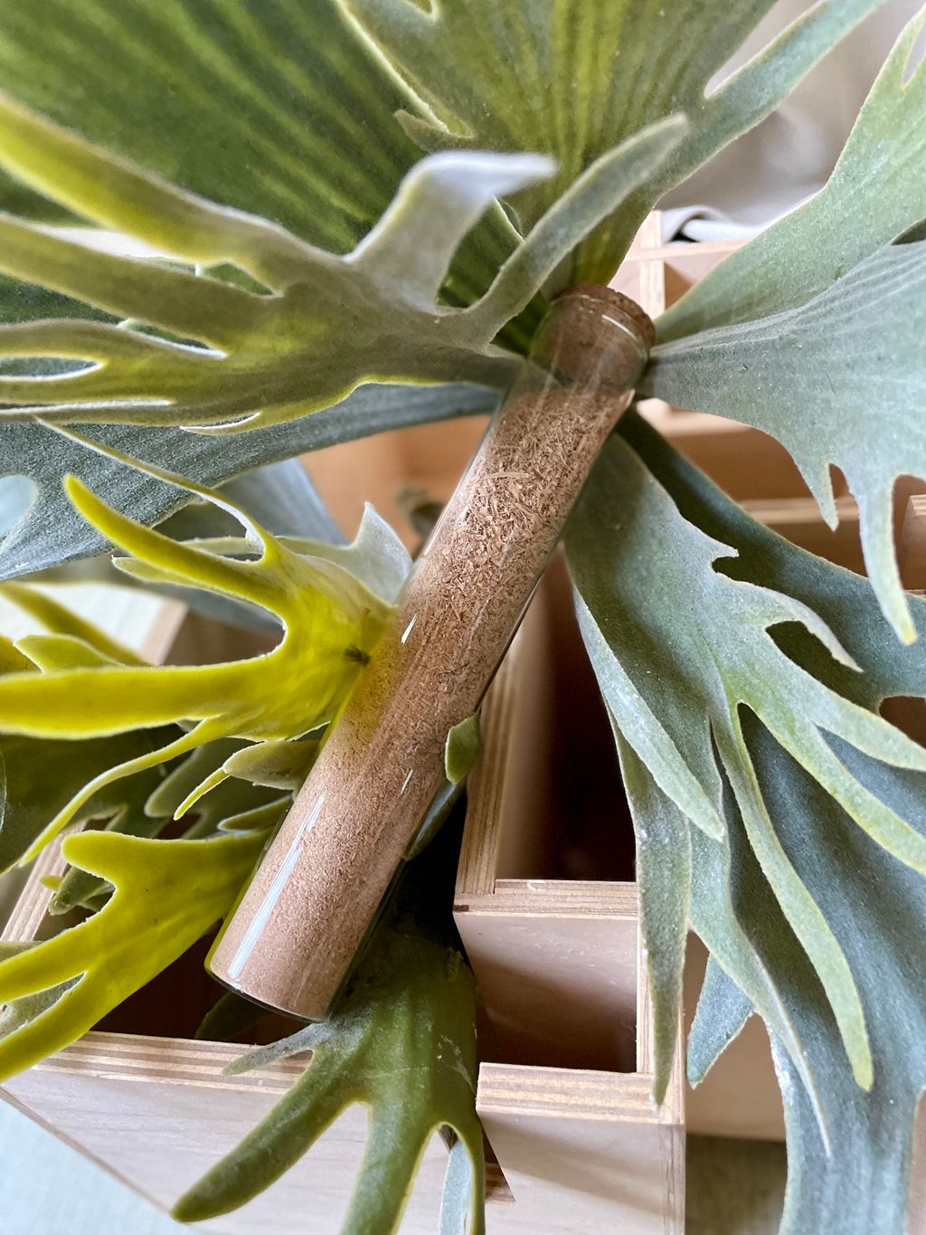 IMG_1213-1702224756783