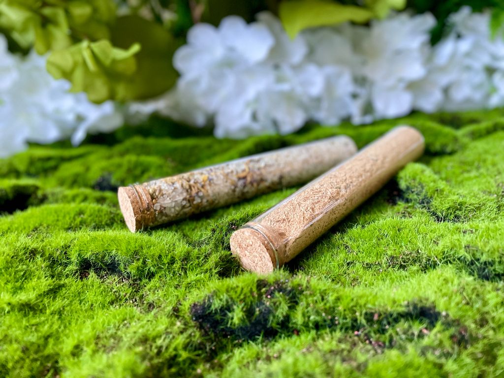 IMG_1163-1702224826419