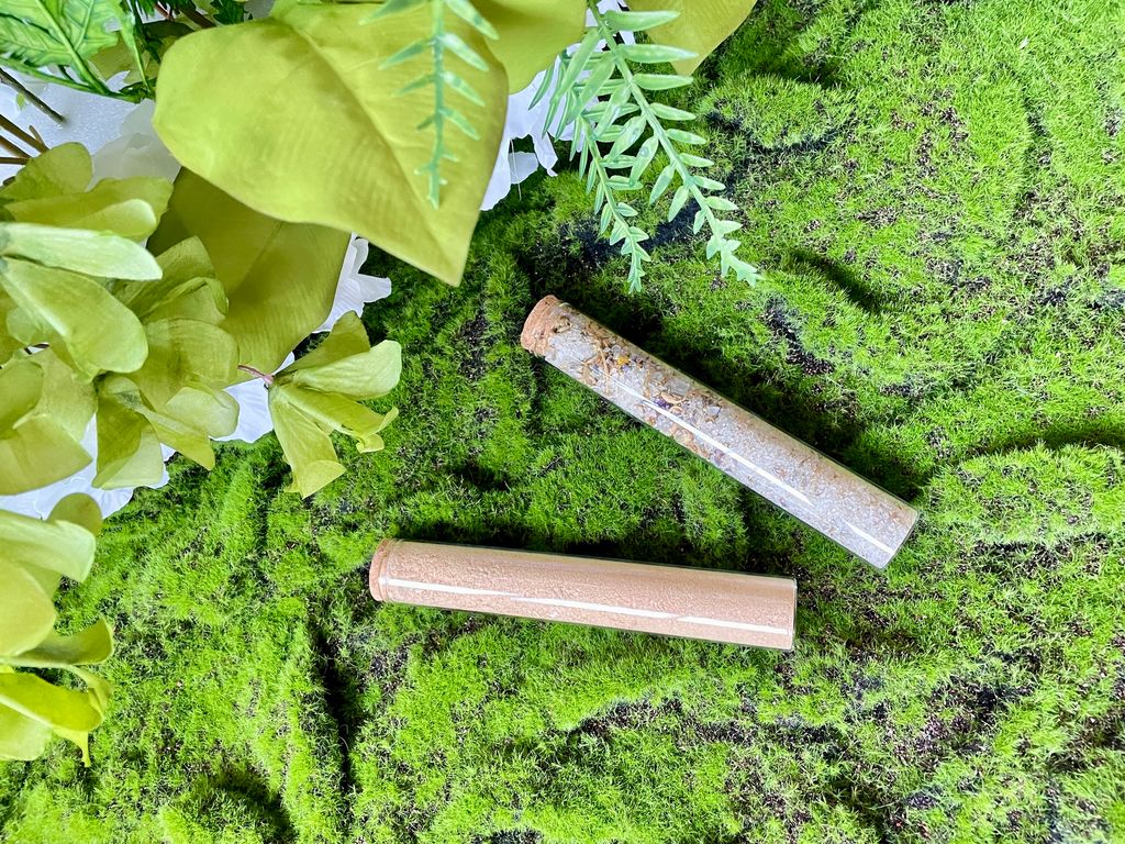 IMG_1154-1702224864932