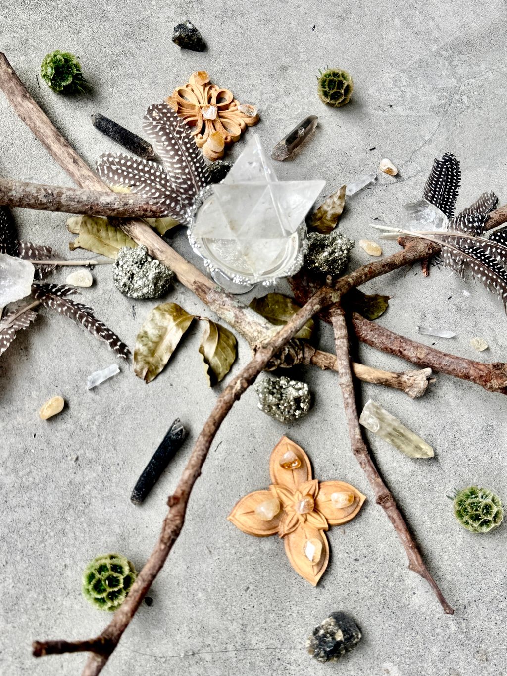 IMG_4862-1733119022396