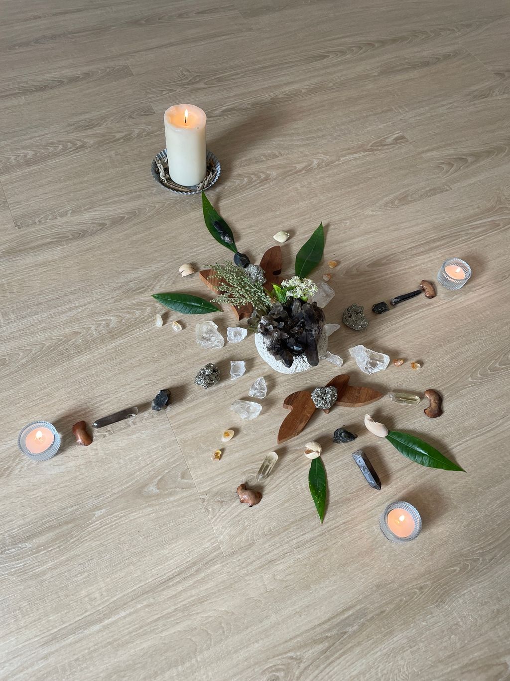 IMG_2653-1733119022380