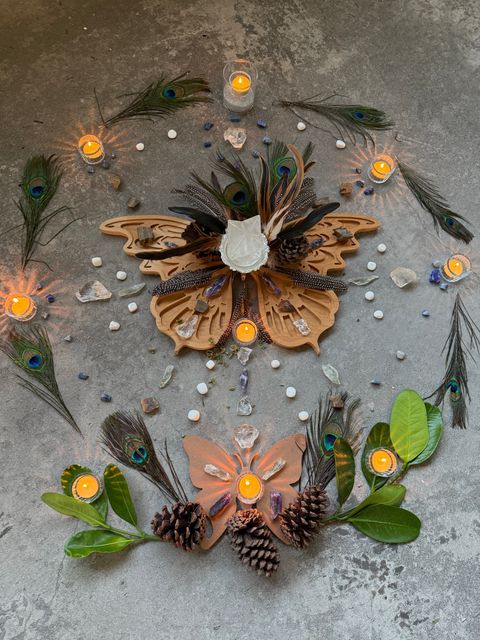 IMG_5868-1733196712211