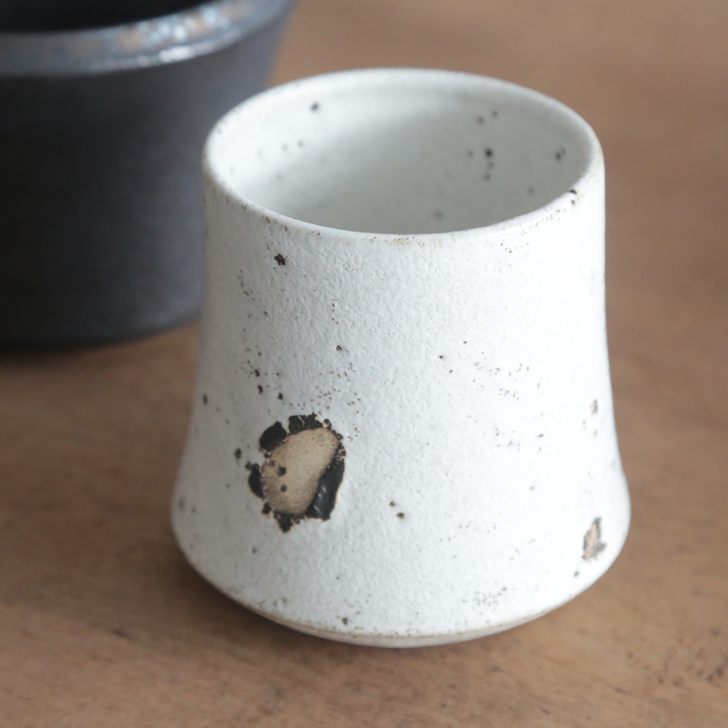 鶴仙園 宮下将太 silver dwarf pot