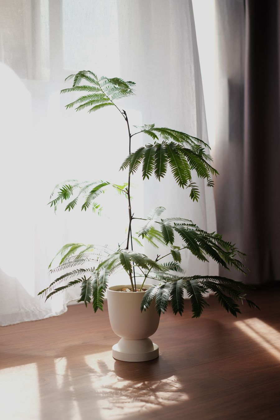 De Rien 的為｜生活選物 | 