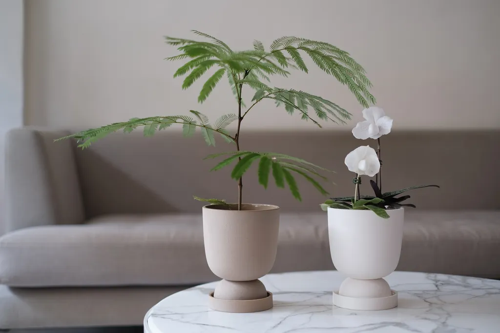 DR種夏盆，陶盆，花器，台灣盆，De Rien Style