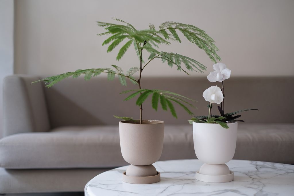 DR種夏盆，陶盆，花器，台灣盆，De Rien Style