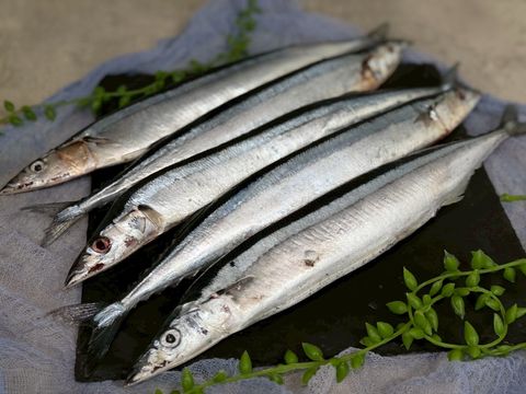LINE_ALBUM_秋刀魚_260508_1