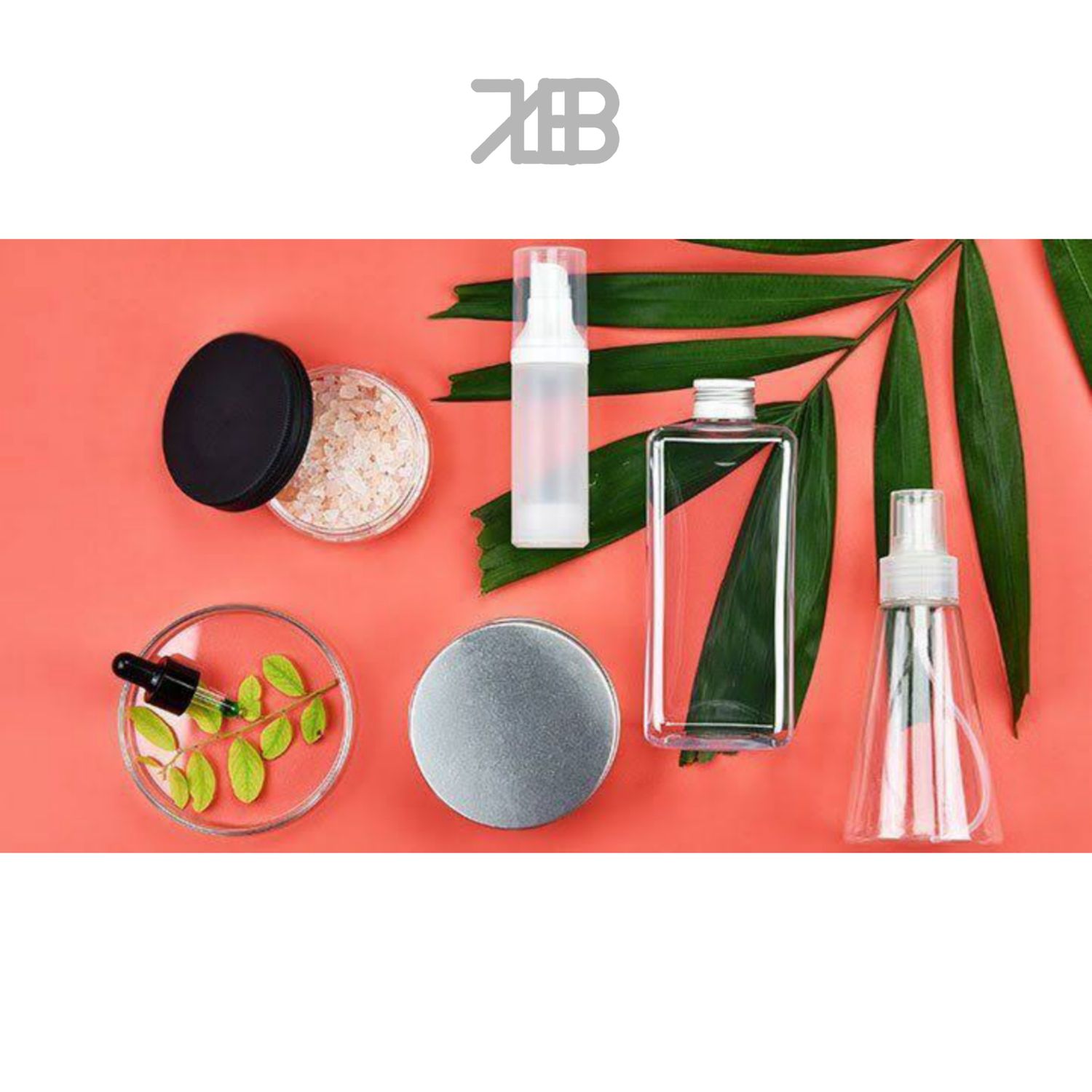 ZEBI PRODUCTIONS | 
