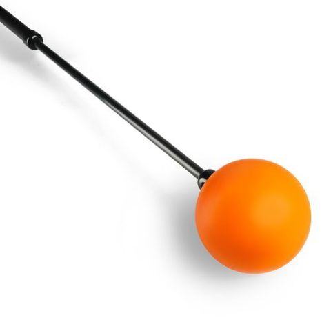 Orange-Whip-Trainer-Closeup-q3ns1ds6y440335ry1j28wz5iw9s96serg5tyhep6o