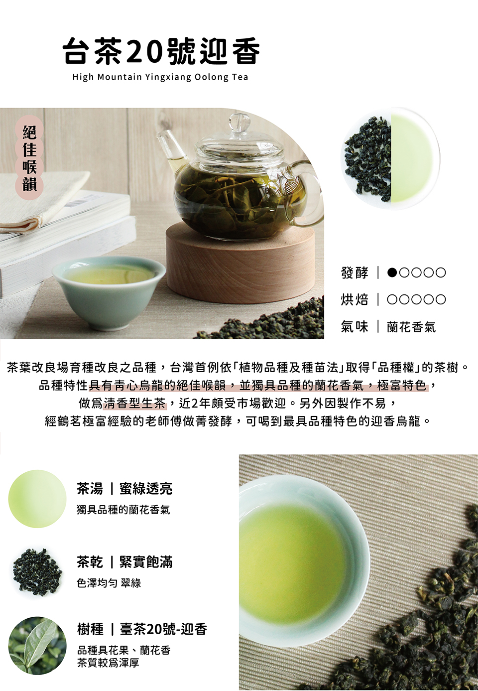 台湾茶 No.20 インシャン | のど越し抜群 - ティーバッグ・茶葉 - その他の素材 グリーン
