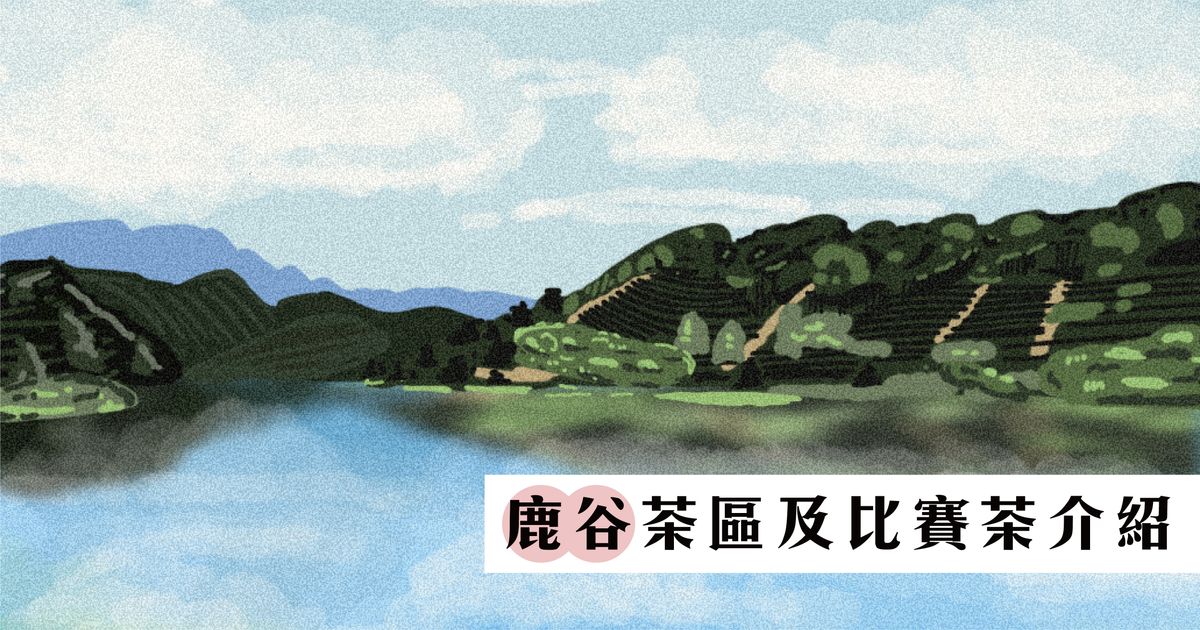 【鹿谷茶區介紹】鹿谷農會比賽茶｜凍頂合作社比賽茶｜永隆鳳凰社區比賽茶介紹