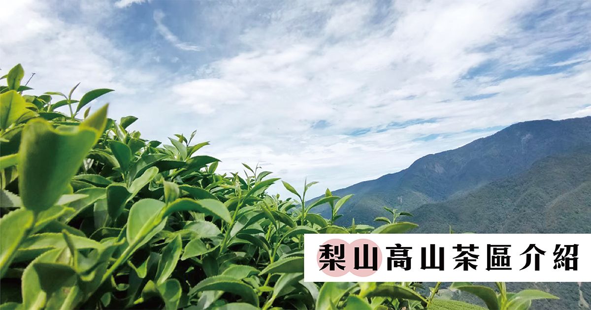 【梨山茶區介紹】大禹嶺｜福壽山｜馬烈霸｜吊橋頭｜天府農場｜新佳陽｜翠峰｜華岡茶區介紹