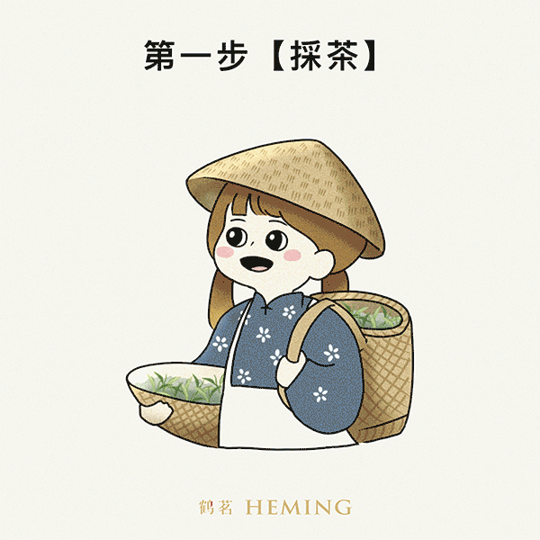 製茶流程
