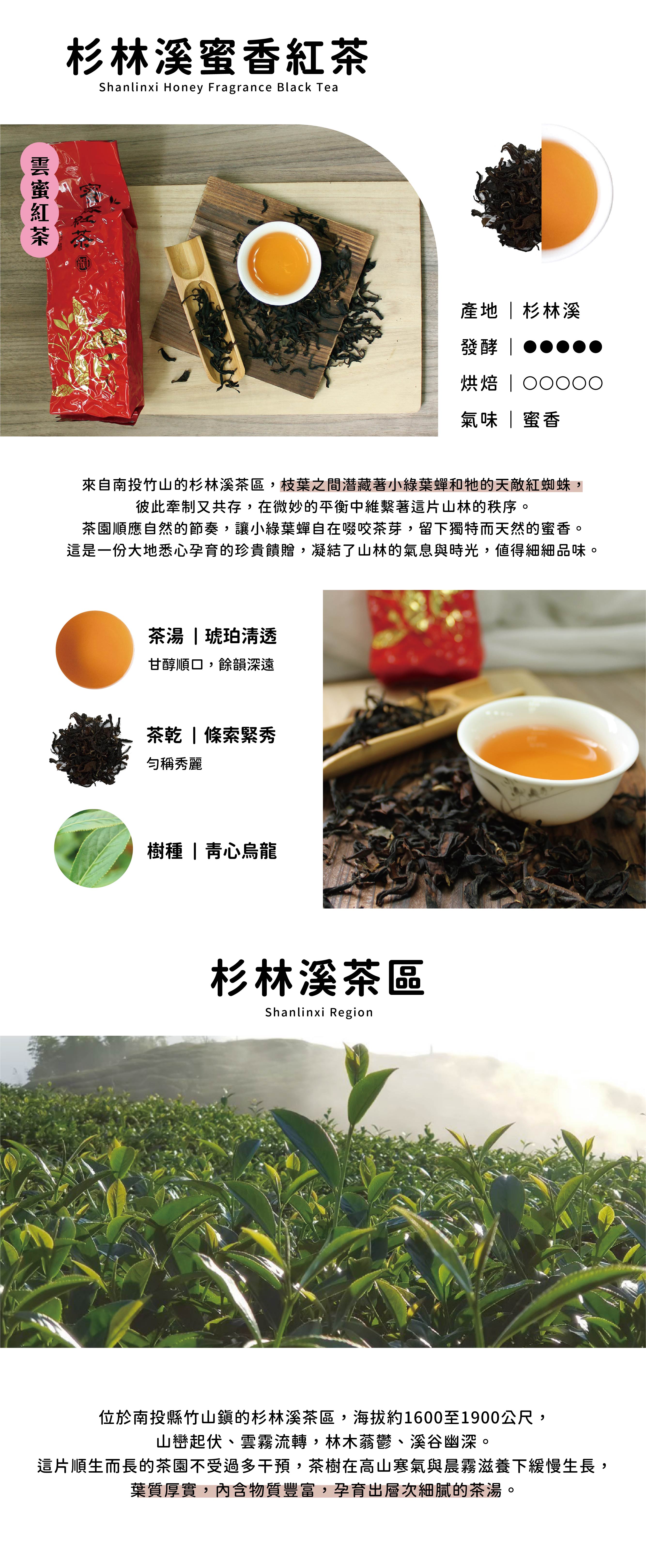 H1001蜜香紅茶_介紹