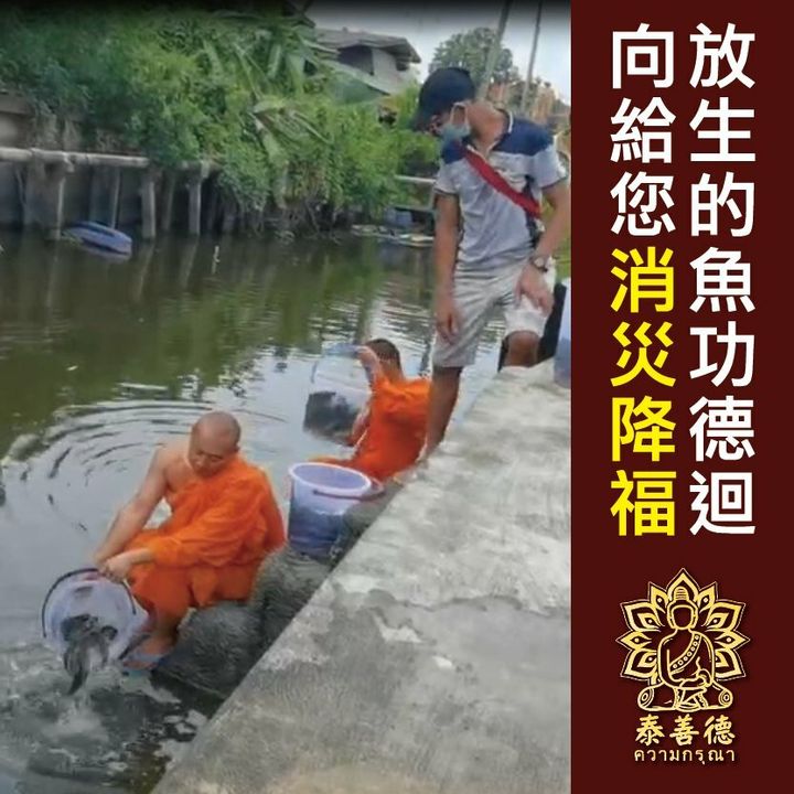 四面佛放生 (2).jpg