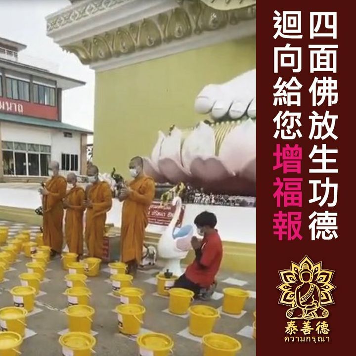 四面佛放生 (4).jpg