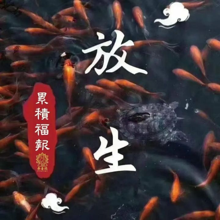 魚.jpg